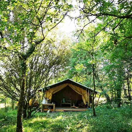 Le Jardin Des Etoiles Filantes * Saint-Just (Dordogne)